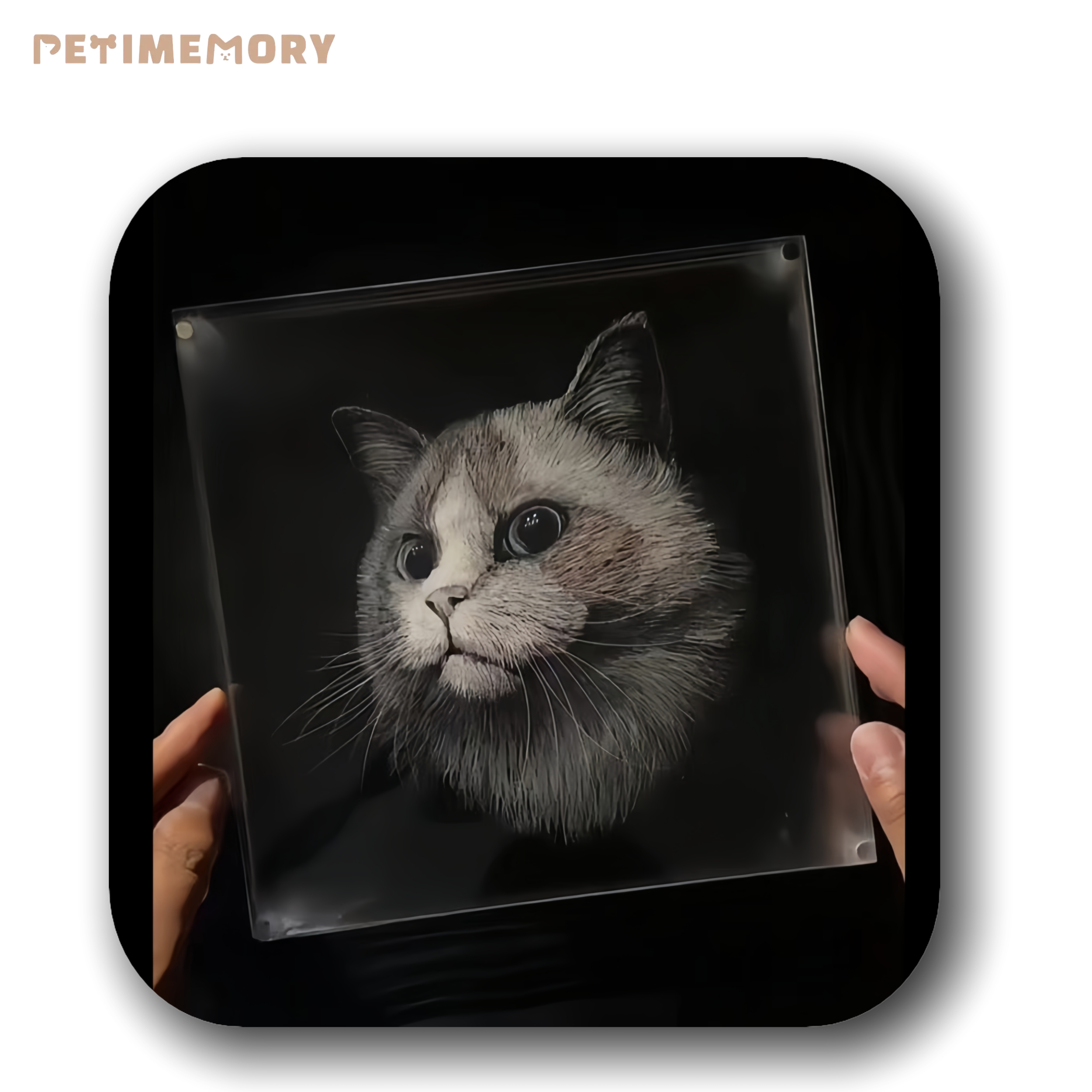 Custom Pet Line Art 3D Painting