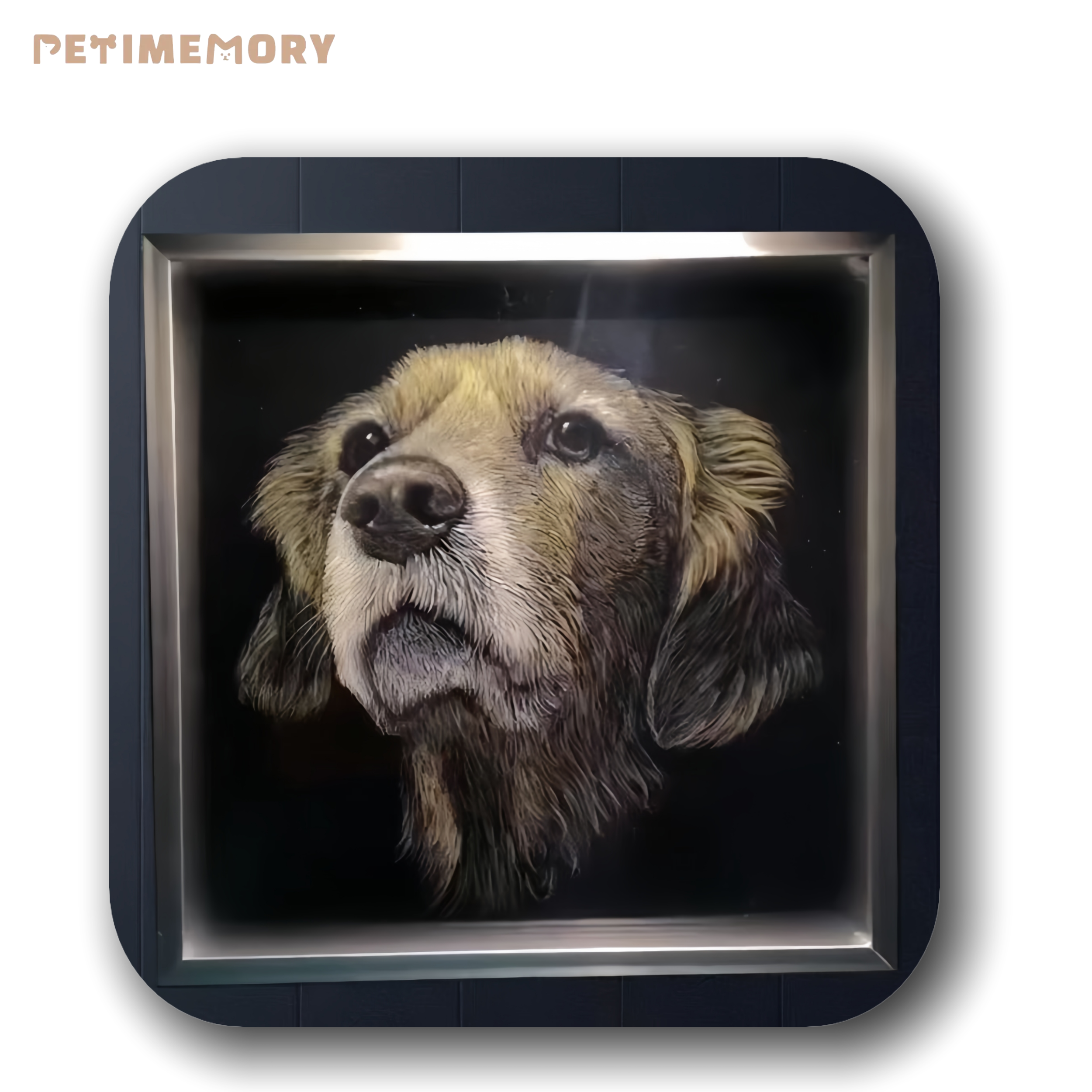 Custom Pet Line Art 3D Painting